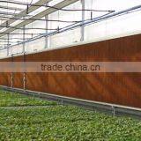 Commercial Greenhouse thumbnail-6