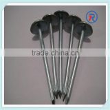 Hot sale BWG9X2.5" twisted shank umbrella roofing nails,galvanized roofing nail made in china