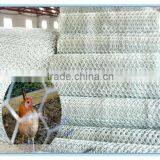 Lowest Price Chicken Wire Mesh Hot Dipped Galvanized Hexagonal Wire Mesh Made in China thumbnail-2