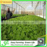 Vertical Greenhouse Growing System thumbnail-3