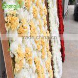 SJLJ013087 Factory Wholesale Artificial Silk Flower for Wall Decoration thumbnail-4
