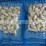 Hot Sales Frozen Short Necked Clam Meat thumbnail-5