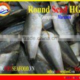 FROZEN ROUND SCAD HGT