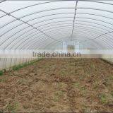 2017 Plastic Film Covering Greenhouse Tunnel Manufacturer thumbnail-1