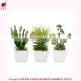 Artificial Succulent Combination Mini Succulent Potted High Quality Mini Artificial Catus thumbnail-1