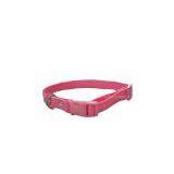 Exclusive Dog Collar thumbnail-1