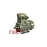 YB2 Type 2014 Explosion Proof Electric Motor