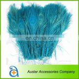 Dyed Peacock Feather Pieces FOR Decorative thumbnail-1