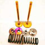 ENGINE VALVE TB48 IN 13201-VC200 EX 13202-VC200 Racing Ferrea Car Parts for Nissan TB48DE Y61 Patrol Gold Titanium Retainers thumbnail-2