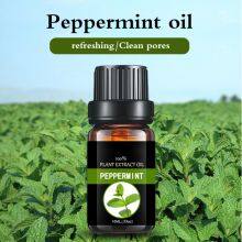 Natural Peppermint oil  Massage Essential Oil new Fresh mosquito repellent refreshing analgesic skin care