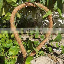 Wholesale Manufacturers Suppliers Bend Climbing Forest Plant Semi Circle Moss Poles Coir thumbnail-3