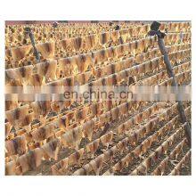 Best Selling Frozen Dried Squid for Export