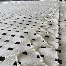 Polyester Fiber Protective Net h Pet600-400ms, Plastic False Roof Net for Underground Coal Mines, 410kn for Final Mining thumbnail-2