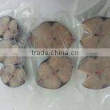 Spanish Mackerel Fillets