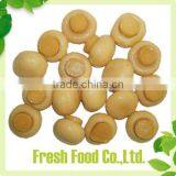 Canned Mushroom Price thumbnail-1