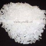 Monosodium Glutamate (MSG)