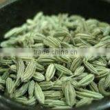 Fennel Seed Oil