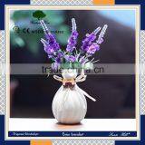 Air Freshener Best Selling Items ;scent Aroma Reed Diffuser ; Fragrance Smell;60ML Air Diffuser Supplier's Choice