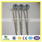 Hanqing Galvanized Twisted Roofing Nail thumbnail-2