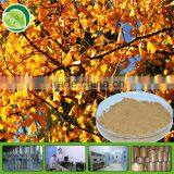 Free Sample for Extracts of Ginkgo Biloba thumbnail-1