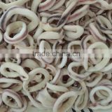 Good quality frozen argentina squid rings