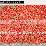 High Quality Dried Raw Goji Berries thumbnail-4