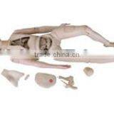 Nurse Training Doll(female) thumbnail-1