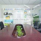 Semlight Semiconductor Lighting Co., Limited company overview - view 2 thumbnail