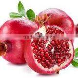 New Crop Organic Fresh Pomegranate