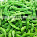 IQF Fresh Soybeans thumbnail-4