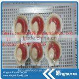 Frozen Sea Scallop on Hot Sale thumbnail-6