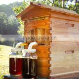 Zorue Factory Made Automatic Flow Honey Beehive/flow Bee Hive thumbnail-2