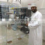 Cheap Pigeon Cage/Pigeon Breeding Cage/Design Pigeon Cage thumbnail-1