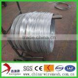 Soft Rust-proof Galvanized Steel Wire thumbnail-3