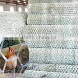 Competitive Price for Hexagonal Wire Mesh thumbnail-4