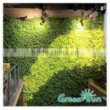 Latest Green Wall Ecofriendly Artificial Vertical Green Wall thumbnail-2