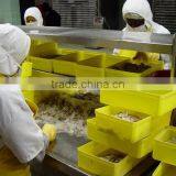 HOSO /HLSO Vanamei White Shrimp thumbnail-6