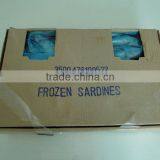 Export Wholesale Sardines For Can thumbnail-2