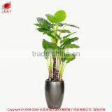 115 to 230cm Artificial Trees Dishlia Pots Plant Artificia House Plants Bonsai Tree thumbnail-1