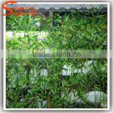 2.5m High Guanzghou Cheap Outdoor Artificial Bamboo Tree Bamboo Plants for Sale thumbnail-4