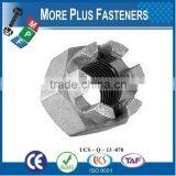 Made in Taiwan Fine Thread Stainless Steel Grizzly Claw Brass Fine Thread Zinc Castle Nut thumbnail-2