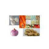 Fresh Ginger thumbnail-1