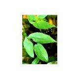 Epimedium Extract thumbnail-3