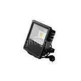 OEM Customized IP65 COB High Power LED Flood Light for Indoor or Outdoor lighting