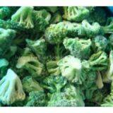 Frozen Broccoli thumbnail-1