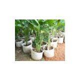 Tree-planting Bags thumbnail-2