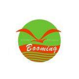 BOOMING TECHNOLOGY LIMITED