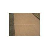 veneer plywood panel