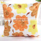 Fshion Throw Pillow Cushion