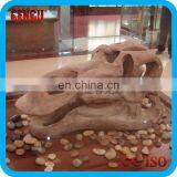 Animal Fossil Skeleton for Museum